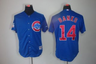 Chicago Cubs #14 Ernie Banks Blue Jersey