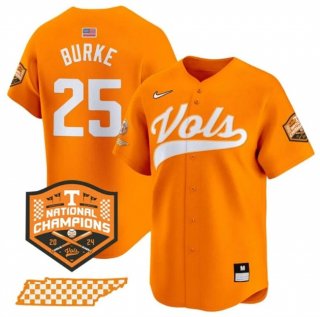 Men's Tennessee Volunteers #25 Blake Burke Orange 2024 Champions Vapor Limited Stitched Jersey