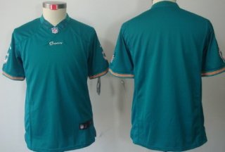 Nike Miami Dolphins Blank Green Limited Kids Jersey