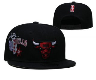 Chicago Bulls Stitched Snapback Hats 061