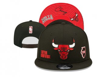 Chicago Bulls Stitched Snapback Hats 091